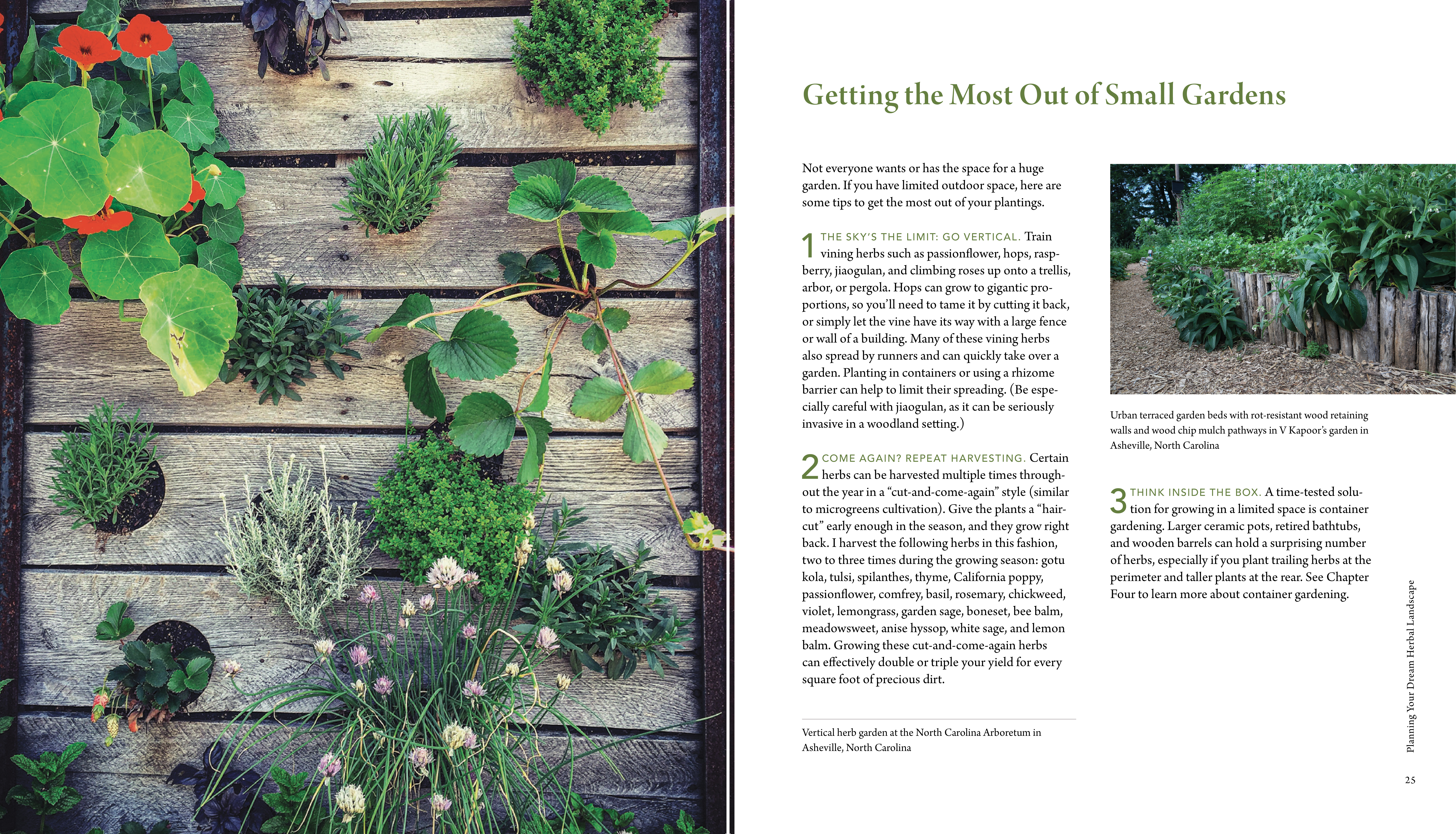 A page from Juliet Blankespoor's The Healing Garden: Cultivating and Handcrafting Herbal Remedies.
